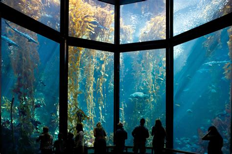 Monterey Bay Aquarium.